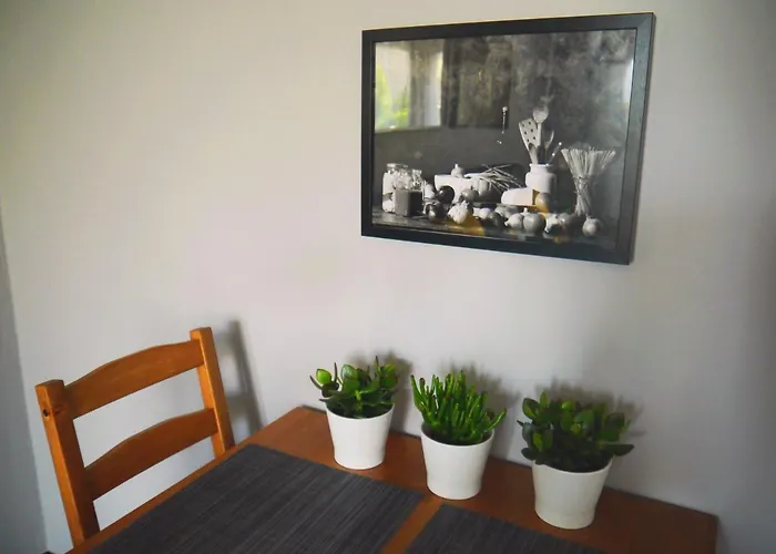 Apartament Unikat Katowice